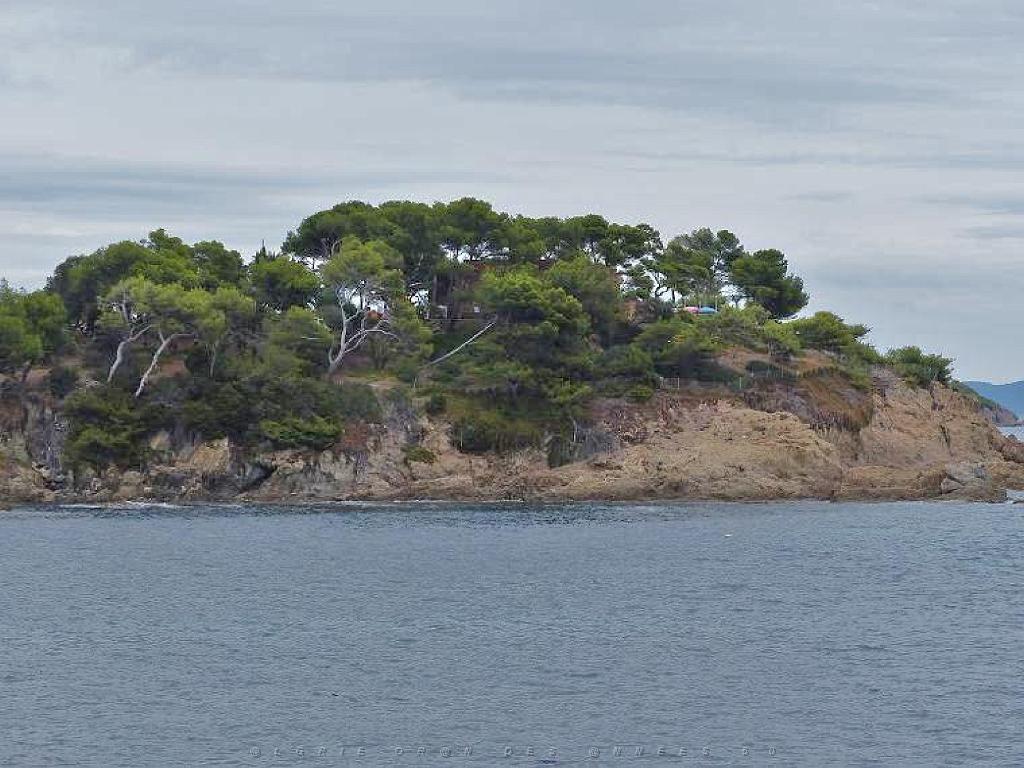 183 D18 PRESQU ILE DE GIENS 1_000010.jpg